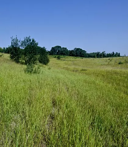 Fort de vaujours